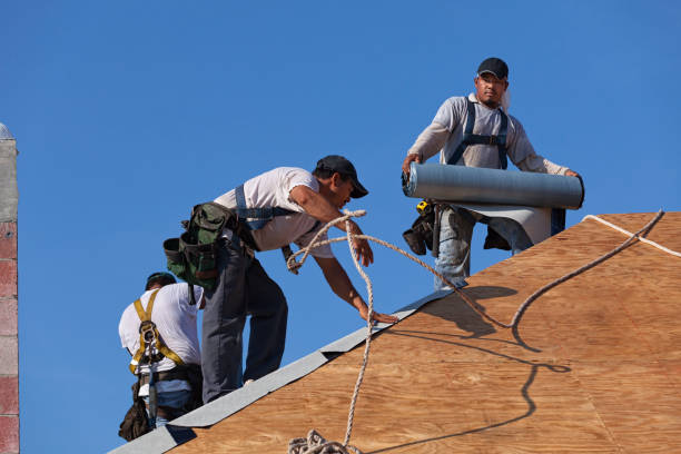 Best Storm Damage Roof Repair  in Elyria, OH